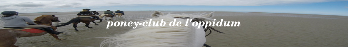 poney-club de l'oppidum